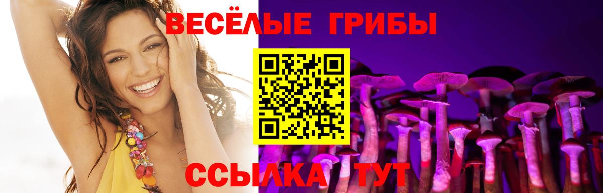 Советск  Псилоцибиновые грибы мицелий  Вход с VPN 